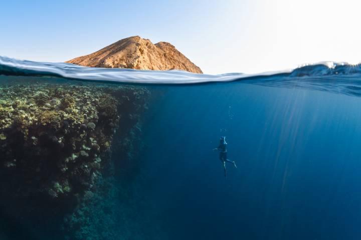 الابتكار البيئي في المملكة العربية السعودية