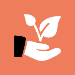 الاستثمار الاجتماعي